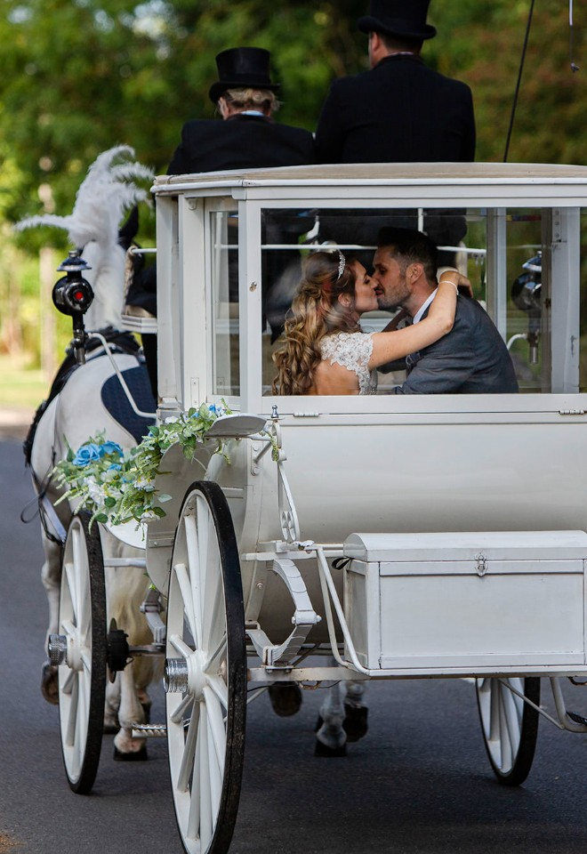 Horse and carriage kiss