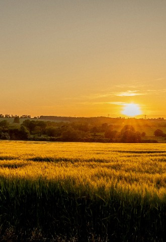 View from Hollands Farm