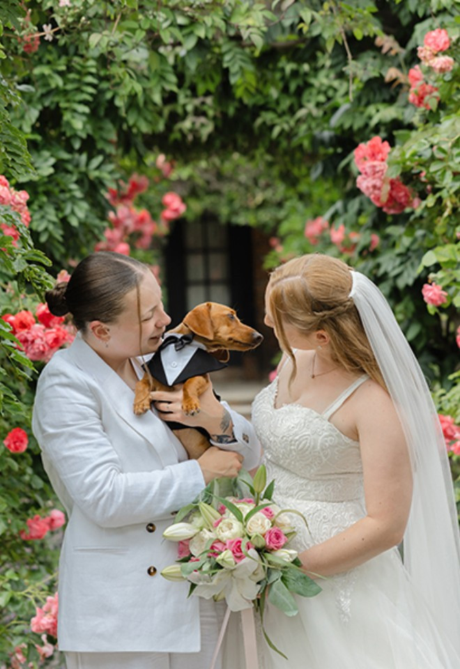 dogs at weddings west sussex