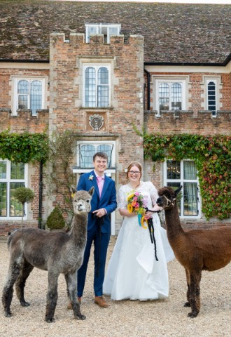 Alpaca Ring Bearers Hockwold Hall, Animals at Weddings.