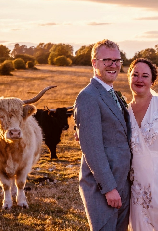 Bride & Groom with Cows, wedding photos