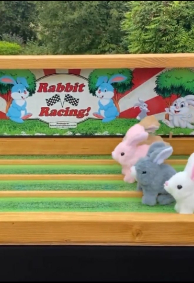 carnival game, rabbit racing, wedding entertainment buckinghamshire