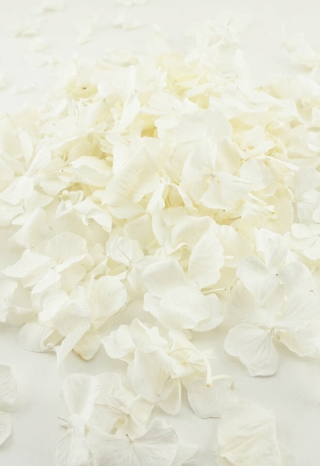 The Dried Petal Companys Biodegradable Wedding Confetti Freeze-Dried Hydrangea Petals Ivory