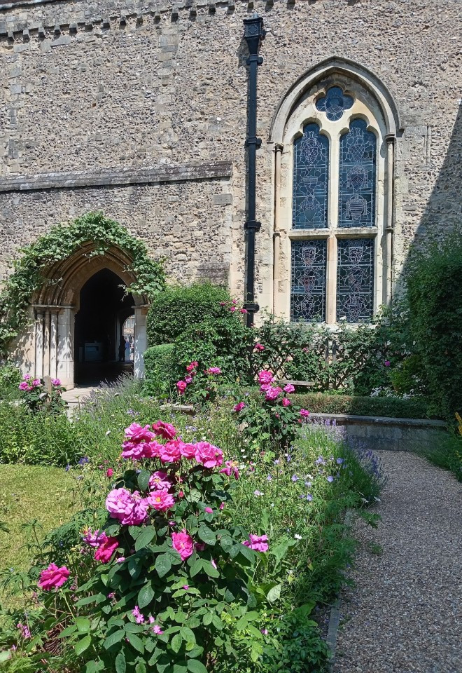 Roses in the garden at The Great Hall wedding venue in Winchester