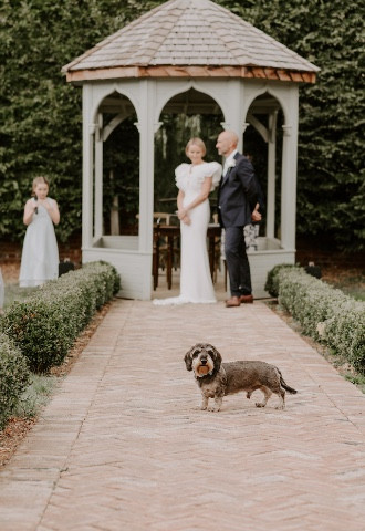Dog Friendly Weddings