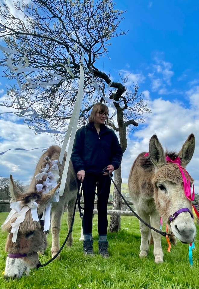 Barnutopia donkeys Andi and Sassy
