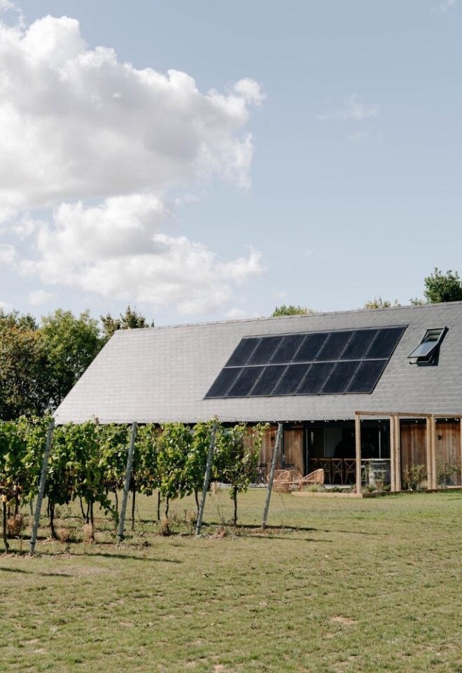 The Vineyard Kitchen & Tasting Room 