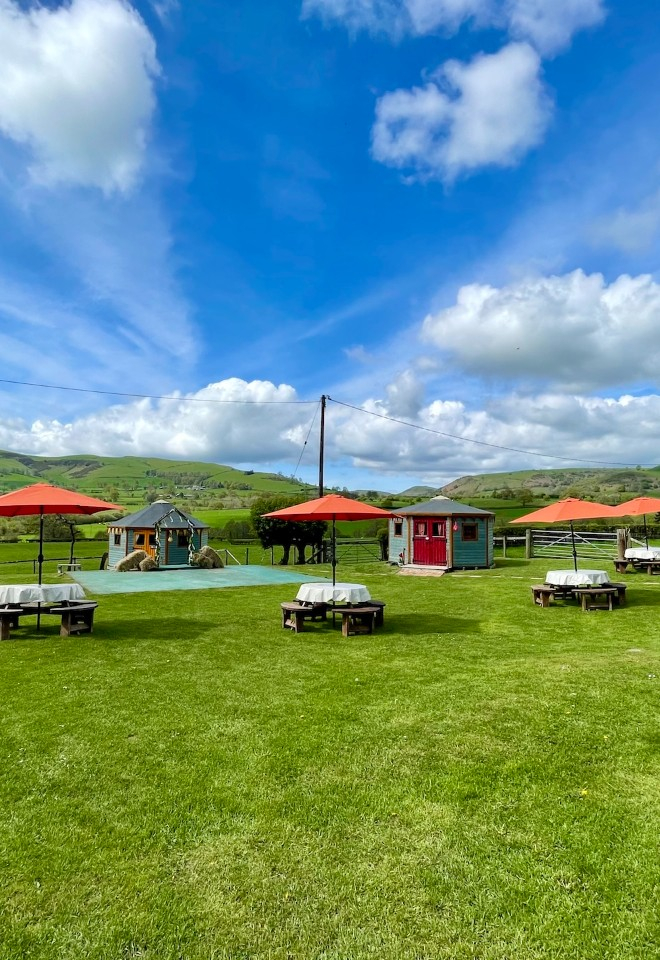 The yurt field