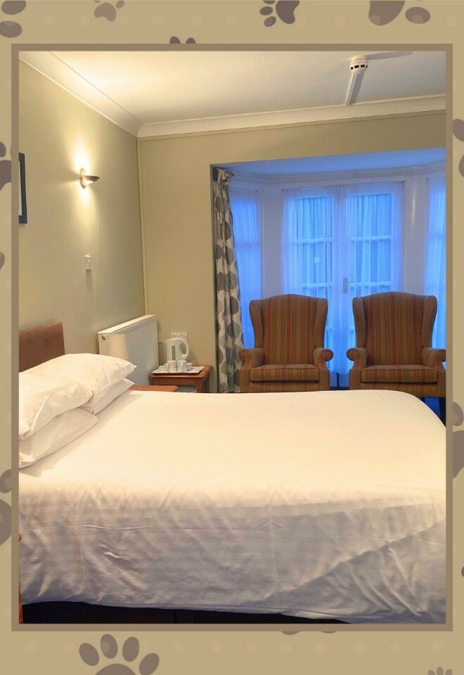 pet friendly guest accommodation