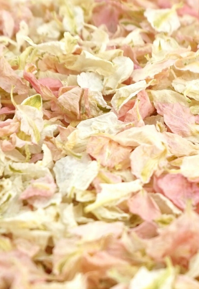 The Dried Petal Companys Biodegradable Wedding Confetti Larkspur Petals Candy Vanilla Mix Pink Cream Ivory