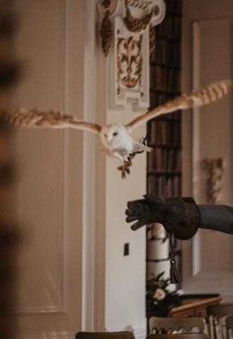 Groom with owl at Auchen Castle - a romantic castle wedding venue in Scotland