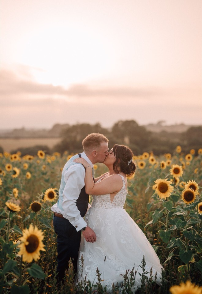 Sunflower field