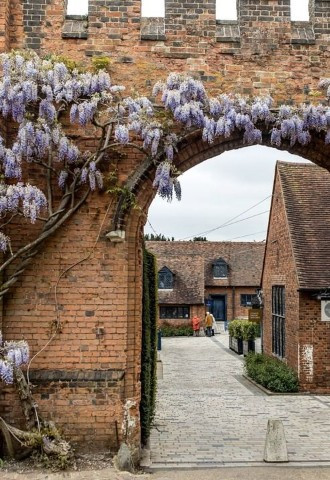 Wisteria on outside of Hatfield House