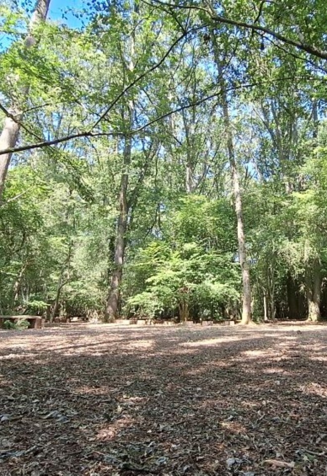 Open area