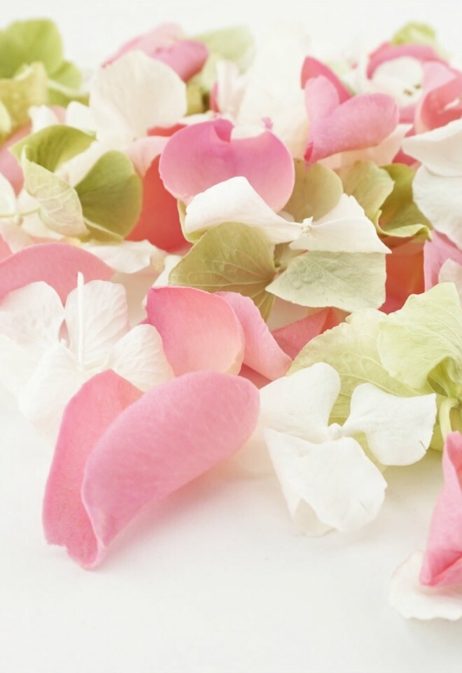 The Dried Petal Companys Biodegradable Wedding Confetti Rose & Hydrangea Afternoon Tea Mix