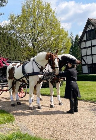 Arrive at Ridge Farm Surrey by horse & carriage for your wedding