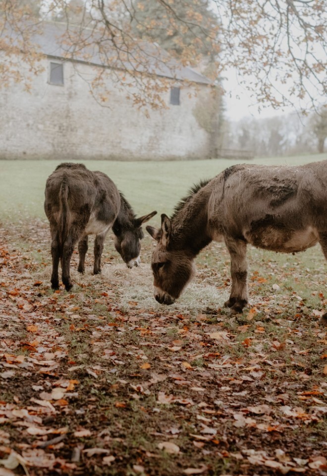 Clearwell Castle Venues in Gloucestershire