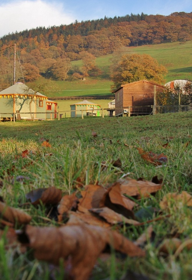 Barnutopia in the Autumn