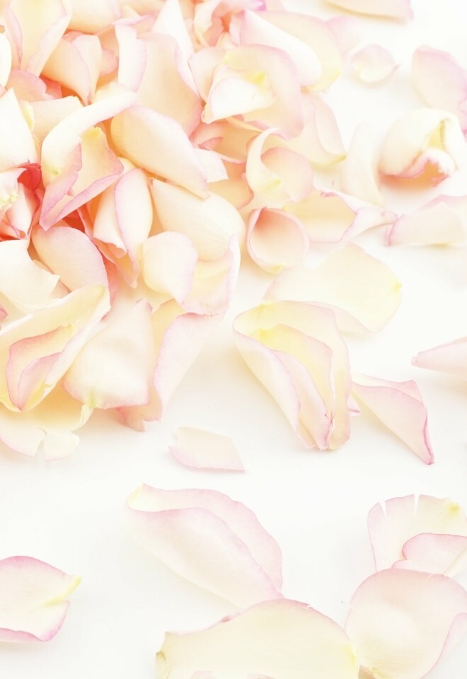 The Dried Petal Companys Biodegradable Wedding Confetti Freeze-Dried Rose Petals Blushing Bride