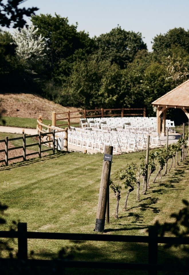 Vineyard wedding ceremony setting