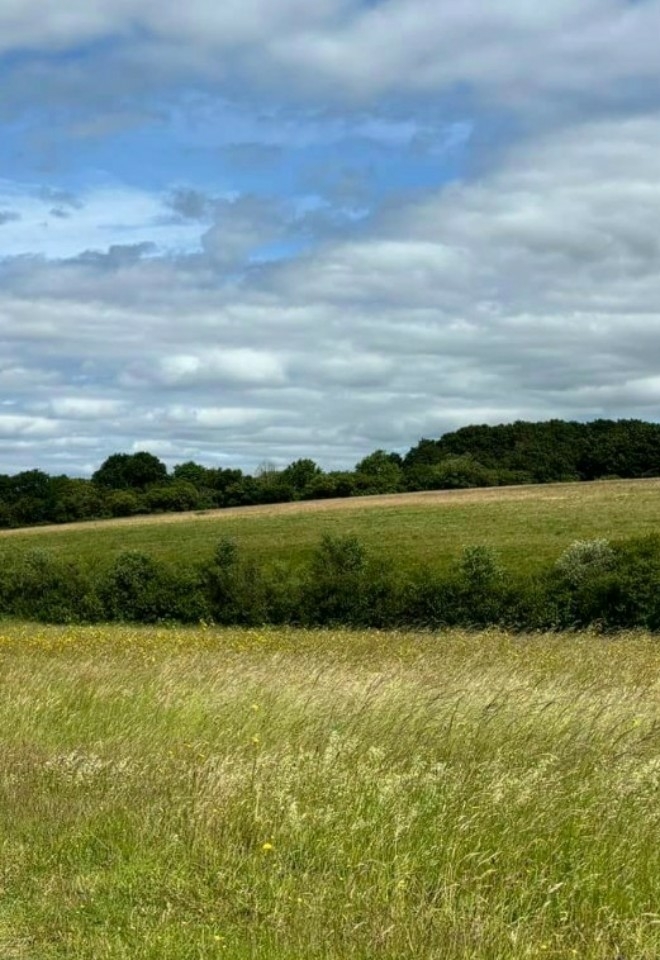 View of the outstanding area of natural beauty at the Chilterns View Wedding Venue