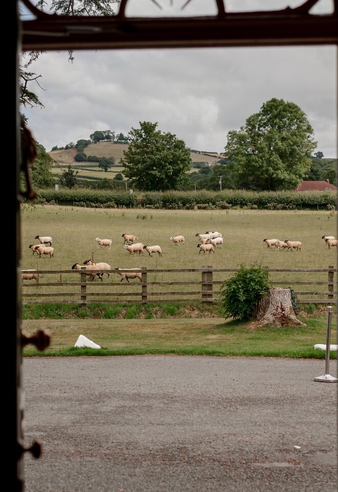 View from the front door