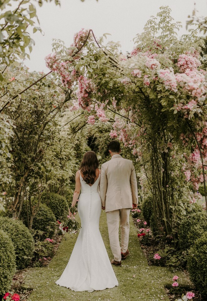 Early Summer in the Rose Garden