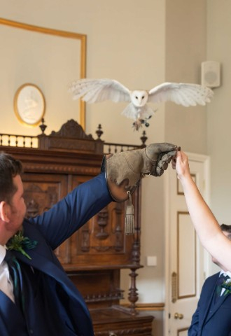 Ring on a Wing ring delivery