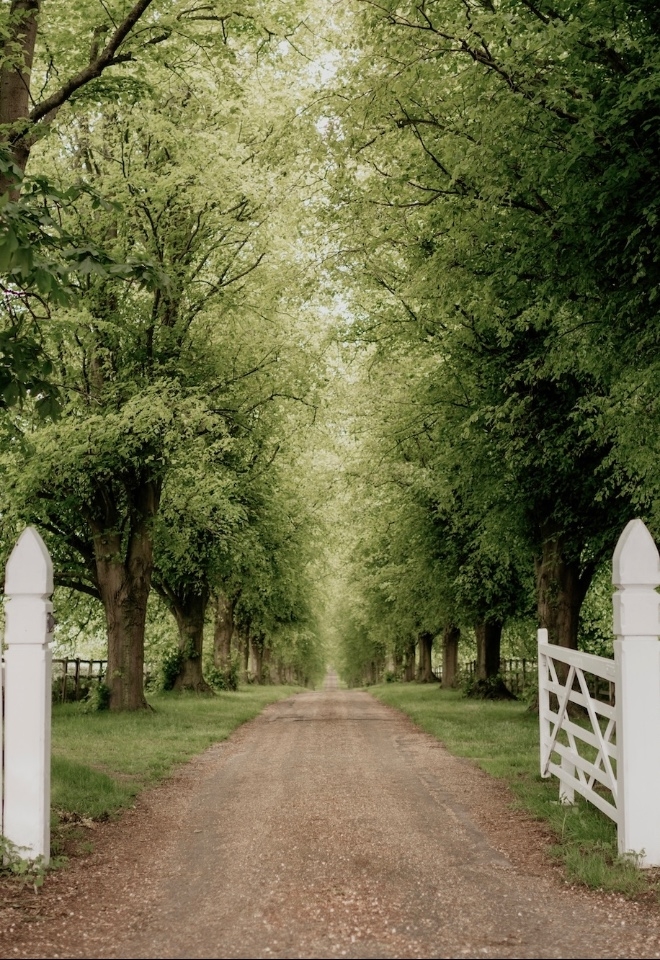 Notley Abbey driveway