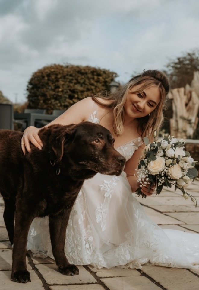 Wedding Bride, wedding Dog 