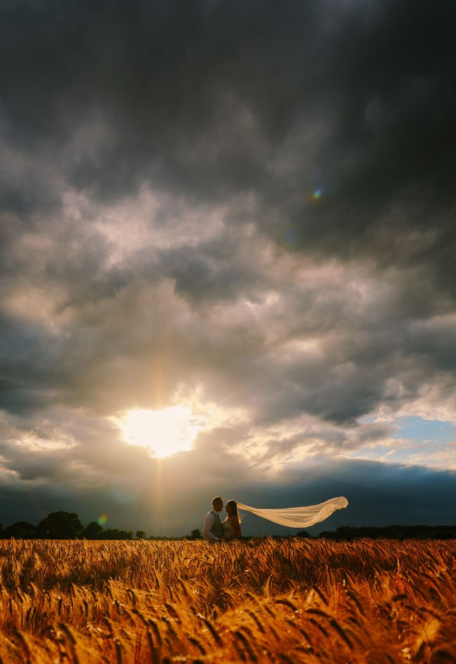 Wedding couple in barley field at sunset