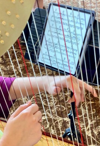 Wedding harpist Lucy Bishop playing her harp for your wedding in Warwickshire