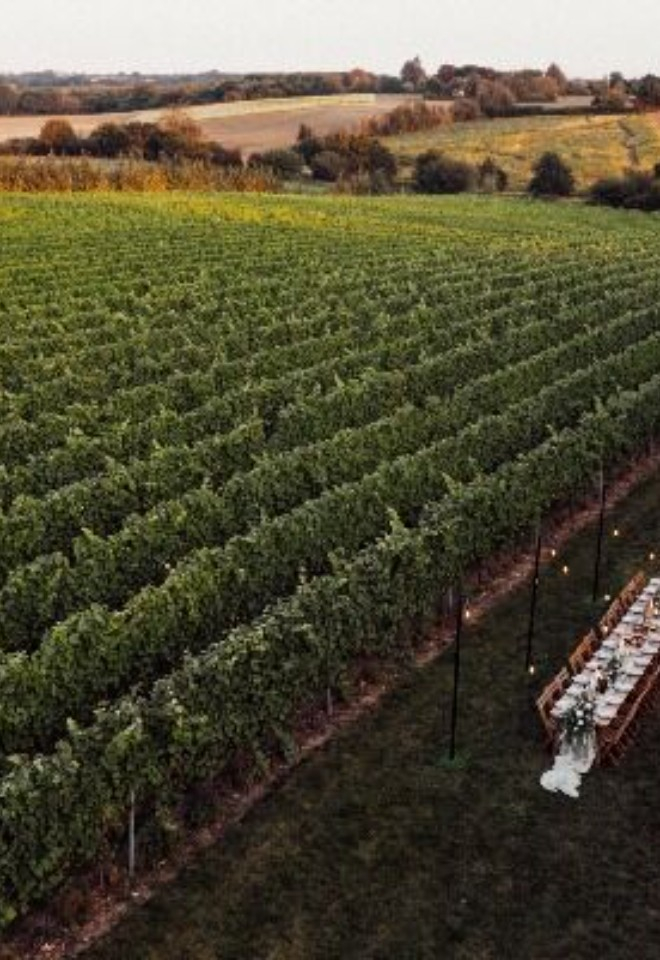 Vineyard intimate wedding breakfast