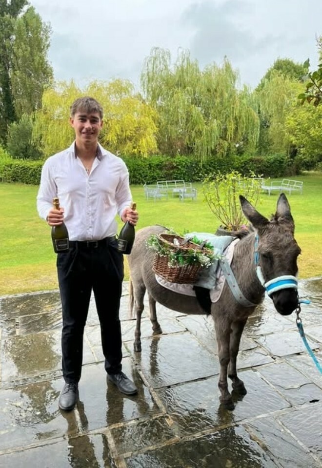 Yes its a wedding donkey! 