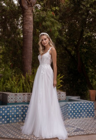 Aster  by Kelsey Rose