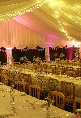 LED Pea Light Canopy