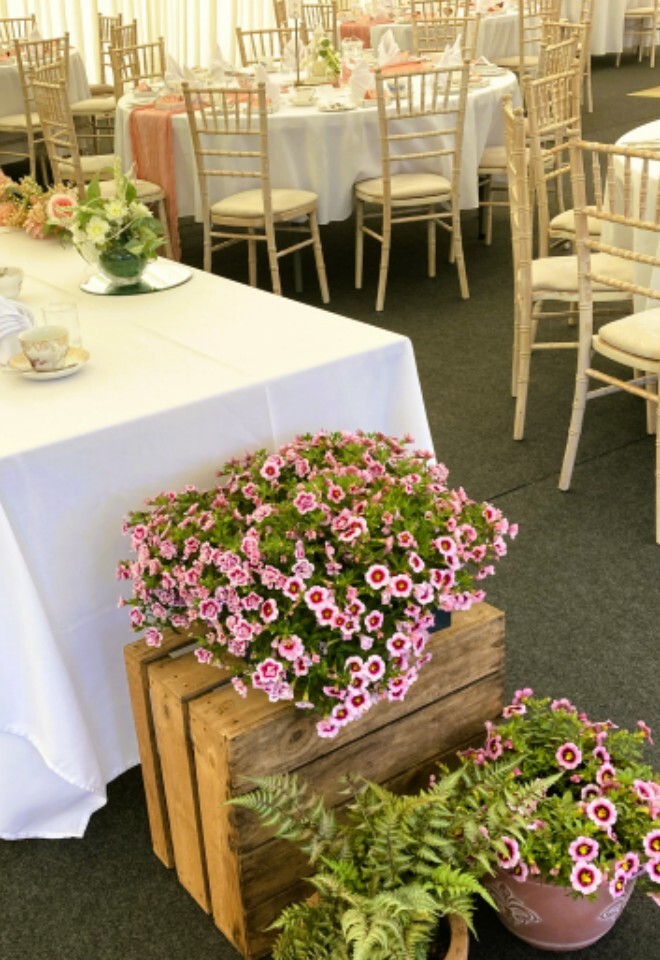 Vintage afternoon tea