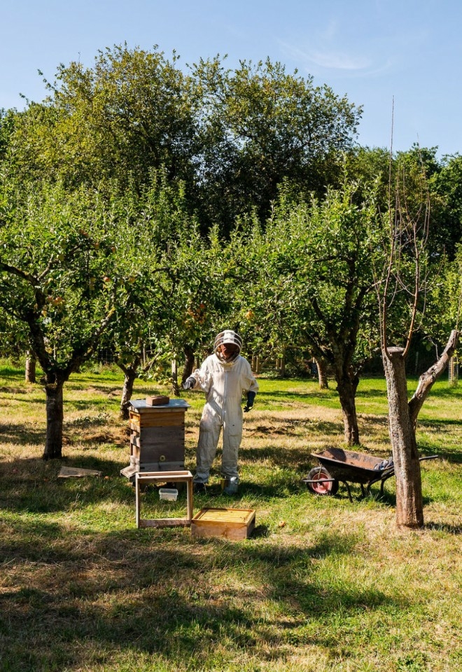 Berwick Lodge orchard bees and sustainability efforts