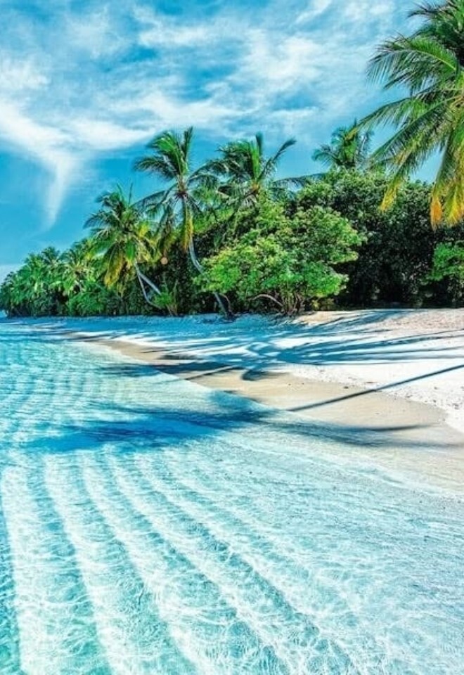 Crystal-clear turquoise waters & a white sandy tropical beach lined with palm trees, showcasing an idyllic honeymoon destination planned by Not Just Travel James & Natasha