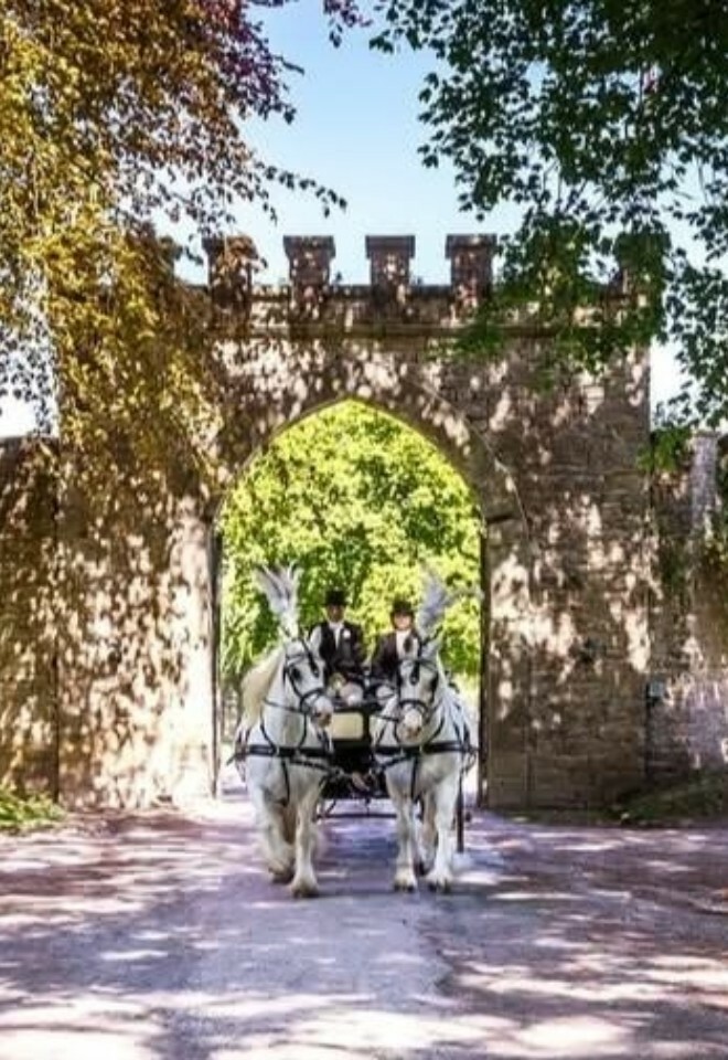 Catherines Carriages, horse drawn carriage hire Gloucestershire wedding transport
