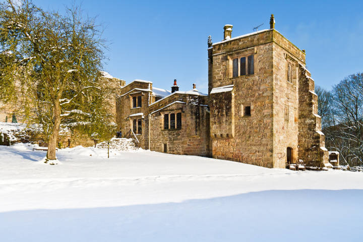Magnificent in the snow