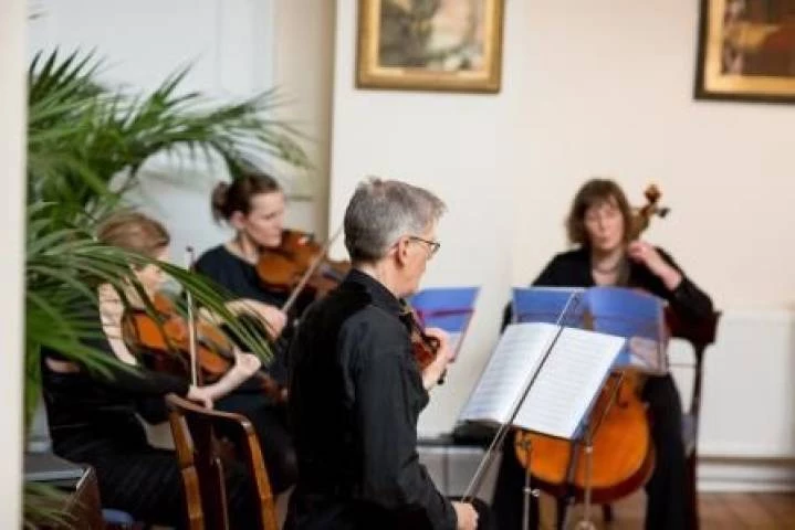 The Cotswold Ensemble, Live Music in Oxfordshire, (Gabrielle Mcmillan Photography)