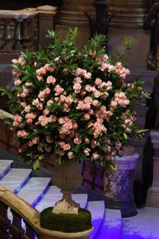 Rob Van Helden,Florists in London - South