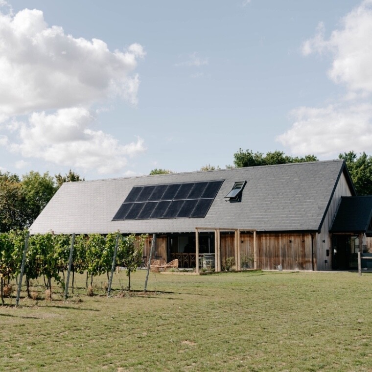 Modern timber-clad vineyard building with a sloping roof and solar panels, set beside neat rows of grapevines under a blue sky with scattered clouds, overlooking grass and surrounding countryside.