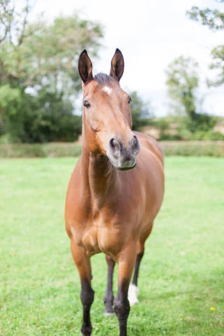 Manor Hill House Weddings Venues in Worcestershire