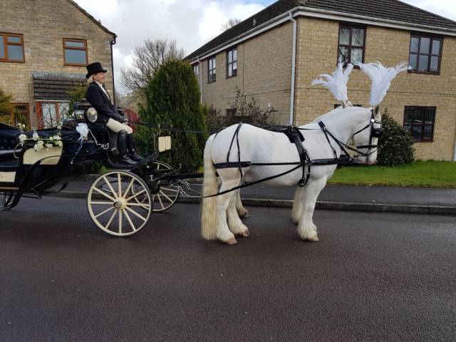 Catherine's Carriages,Cars & Horse Drawn Carriages in Gloucestershire