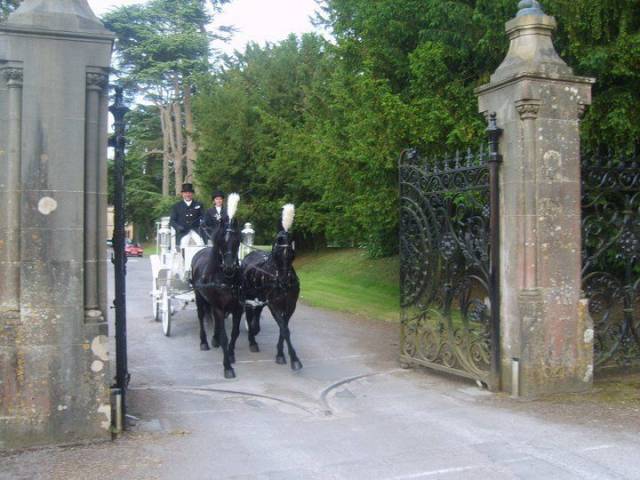 Bramble Farm Carriage Hire, Cars and Horse Drawn Carriages in Wiltshire