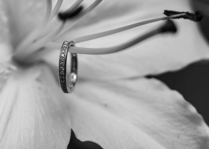 Andrew Sadler Photography Photographers in Bedfordshire