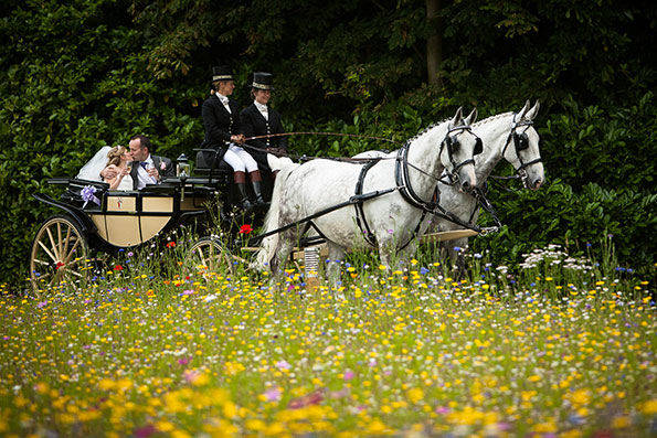 Cars and Horse Drawn Carriages in Surrey 