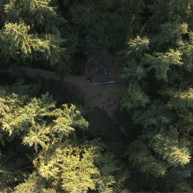 Woodland Setting